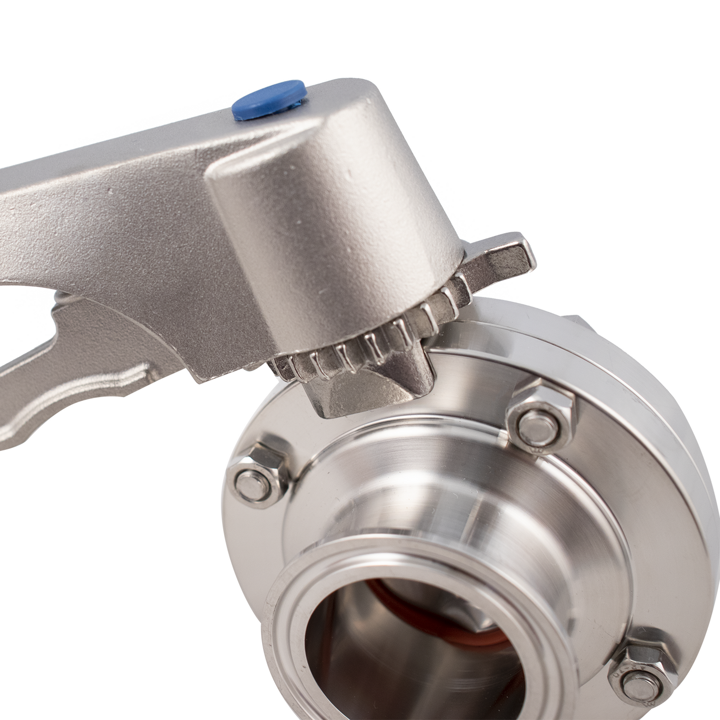 ForgeFit® Stainless Butterfly Valve | 1.5" T.C.
